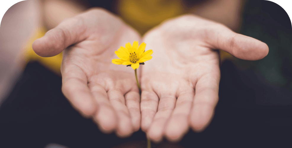 A backend development company can be seen as someone offering a yellow flower — providing solid technological solutions in a manner that is both friendly and customer-focused. With this approach, the company can build lasting and positive relationships with clients, delivering technology solutions with care and attention.