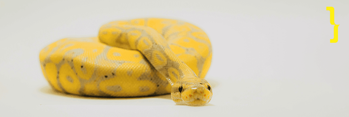 Python