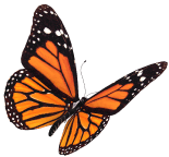 Cyfrowa transformacja biznesu